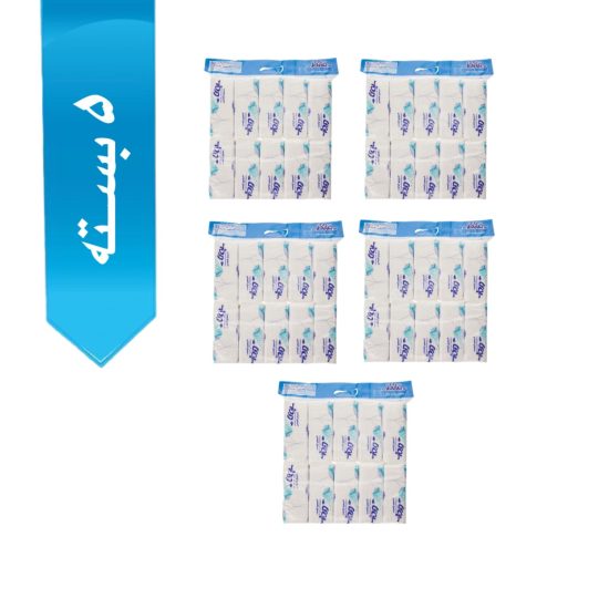 دستمال کاغذی اقتصادی خانواده بی تا 100 برگ بسته 10 عددی - Image 2