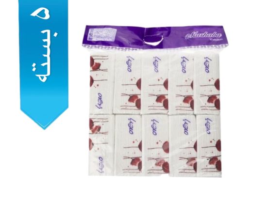 دستمال کاغذی مرحبا 100 برگ دولایه 10 عددی اقتصادی