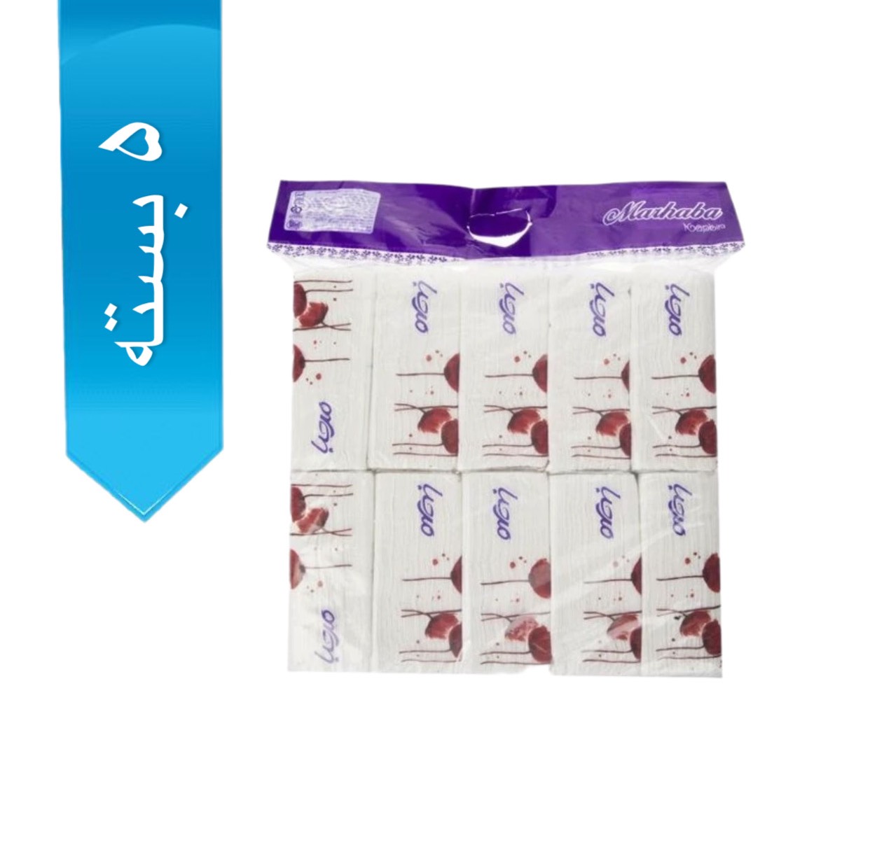 D2E5D9D2-4307-49E3-856A-8D562A84BA81.jpeg دستمال کاغذی مرحبا 100 برگ دولایه 10 عددی اقتصادی - تصویر 1